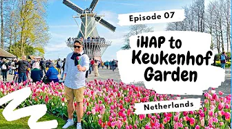 iHAP to the Keukenhof Garden, The Most Beautiful Spring Garden in the World