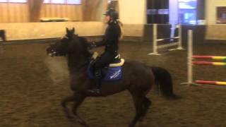 Morten Holm Trening 23.Februar.2016 Carina Og Ariel