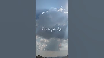ولو بسط الله الرزق لعباده | القارئ مختار تلاوة خاشعة الحاج ستوريات قرآن أجمل حالات واتس اب قرآن بصوت