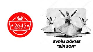 Evrim Dökme - Bir Sor Resimi