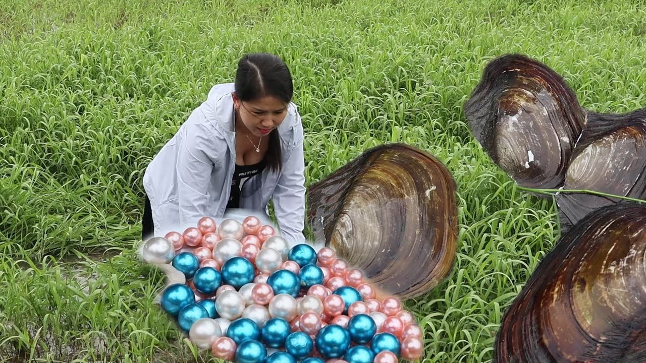 Pearl oysters are hidden in the water plants, and pink pearls are