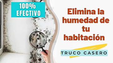 ¿Cómo puedo evitar que mi dormitorio huela a humedad?