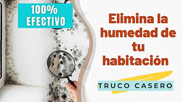 ¿Por qué huele a humedad mi habitación?