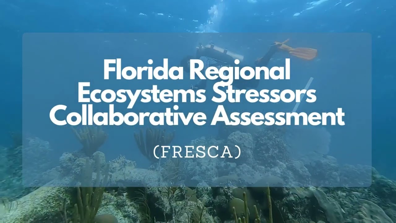 12 Days of AOML Research - Day 10: FRESCA