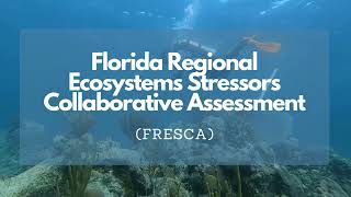 12 Days of AOML Research - Day 10: FRESCA