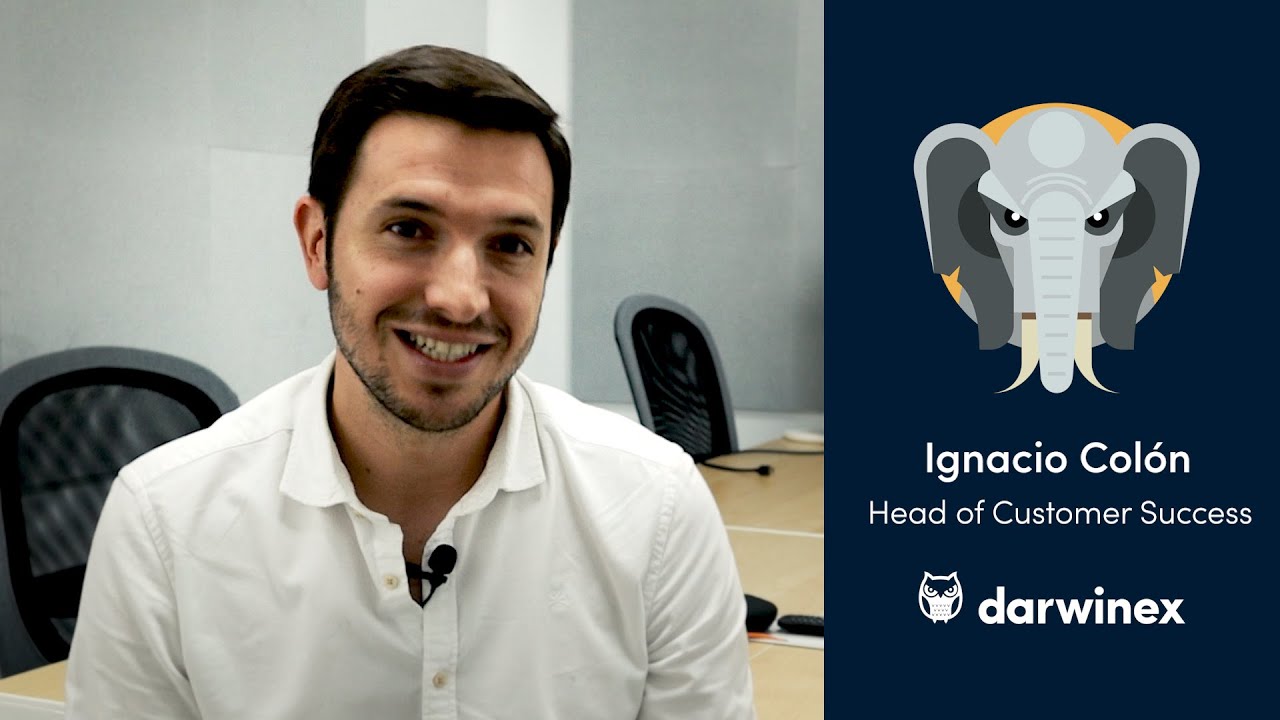 Meet The Customer Success Team InsideDarwinex YouTube