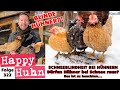 Dürfen Hühner bei Schnee raus? Schneeblindheit bei Hühnern als verkannte Gefahr! HAPPY HUHN E322