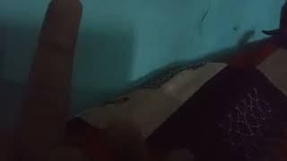 middle finger gif for you