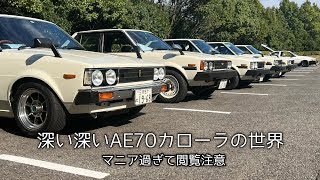 TLV 70カローラ 改 ワタナべ TLV 70カローラ 改 ワタナべ