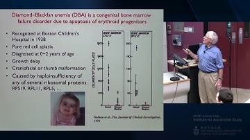 IAS Distinguished Lecture: Prof Harvey F Lodish (Jun 19, 2018)