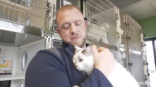 PAWS Pets for Adoption Jan 12, 2023