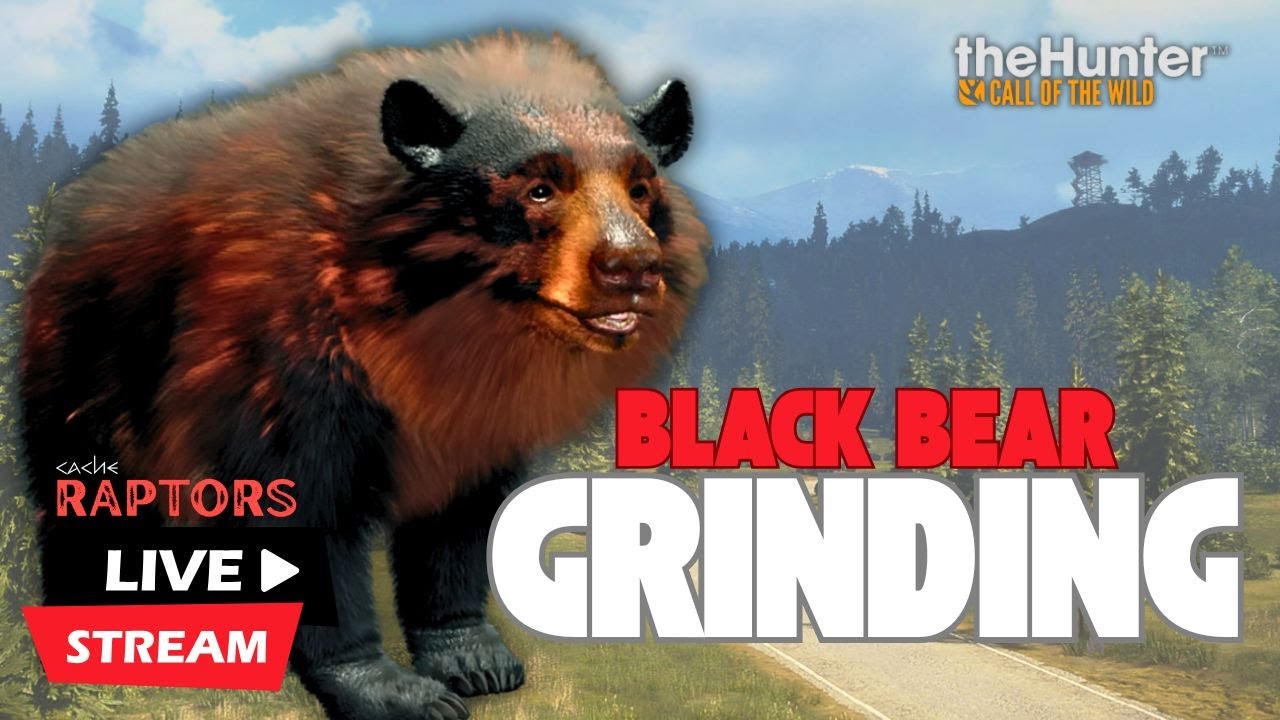 Black Bears! Let's Get This Grind Started Again! Call of the Wild LIVE STREAMING