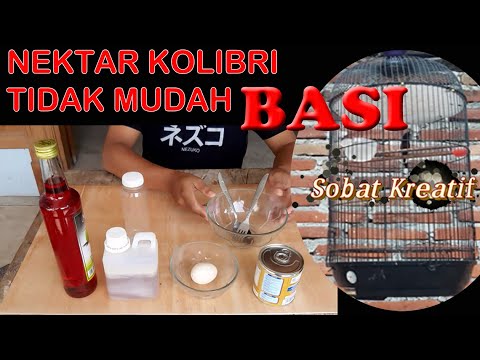 CARA MEMBUAT NEKTAR KOLIBRI (yang)TIDAK MUDAH BASI