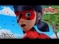 Biedronka kontra Władca Ciem | Miraculous: Biedronka i Czarny Kot | Disney Channel Polska