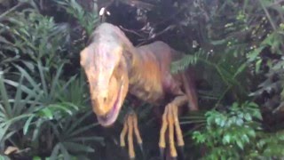 Dinosaurs in Chimelong Safari Park.