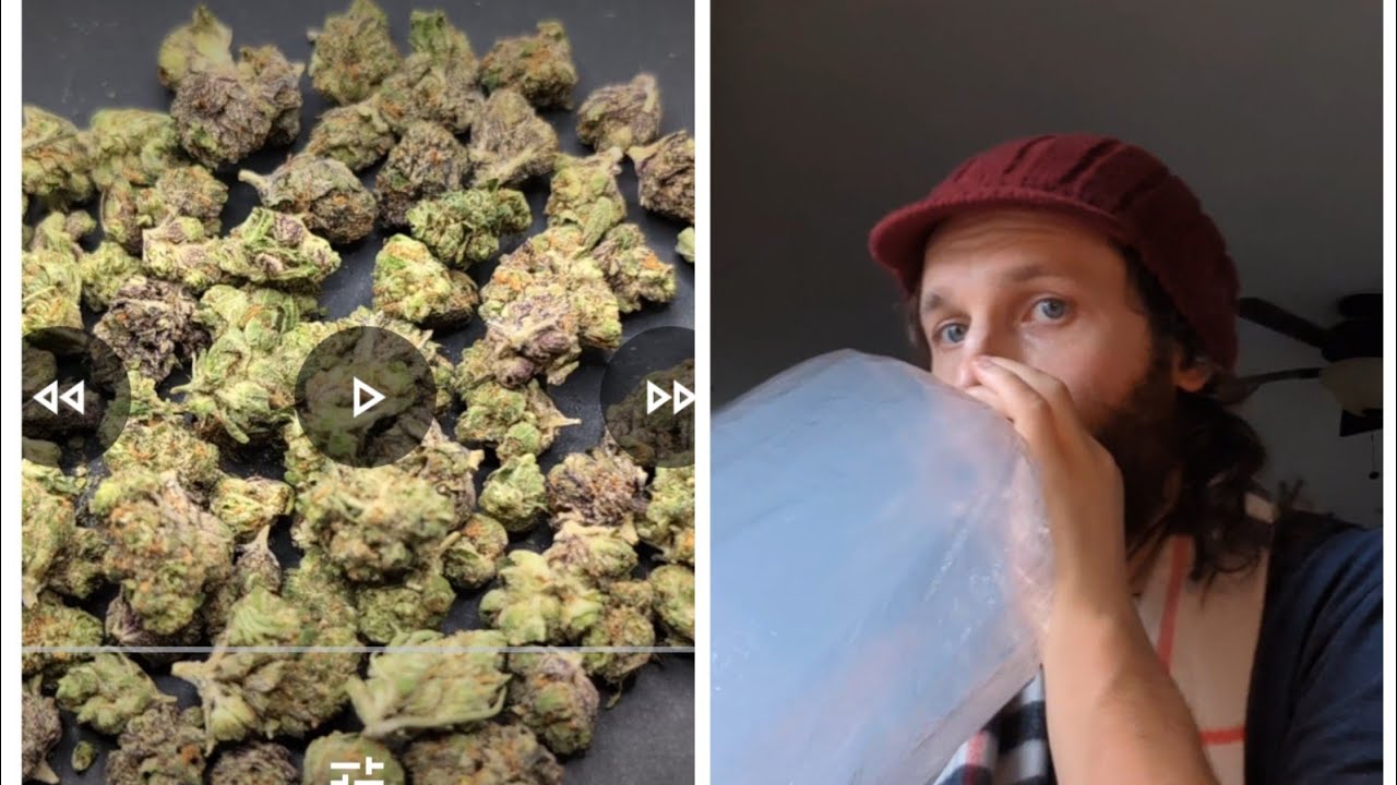 Cake batter indoor Smalls  from THCA small buds - Review  potent than flavorful