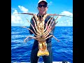 Catching lobsters with a hand net