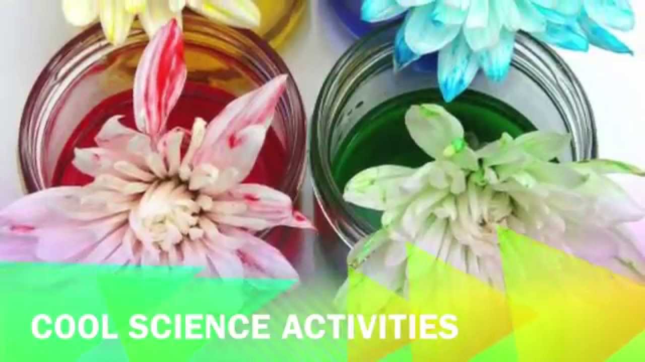 Laughing Kids Learn - YouTube