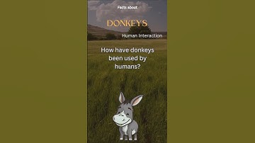 Donkey Fact 26 - How have donkeys been used by humans?