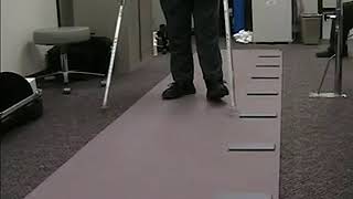 subject walking gaitrite