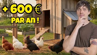 Comment économiser 600€ par an à partir de 5 poules : Je construis une VOLIÈRE - Episode 2