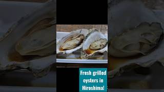 Buying fresh grilled oysters in Hiroshima! #japan #eating