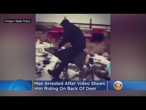 Man, 18, Arrested After 'Disturbing' Video Shows Him Riding On Back Of Deer