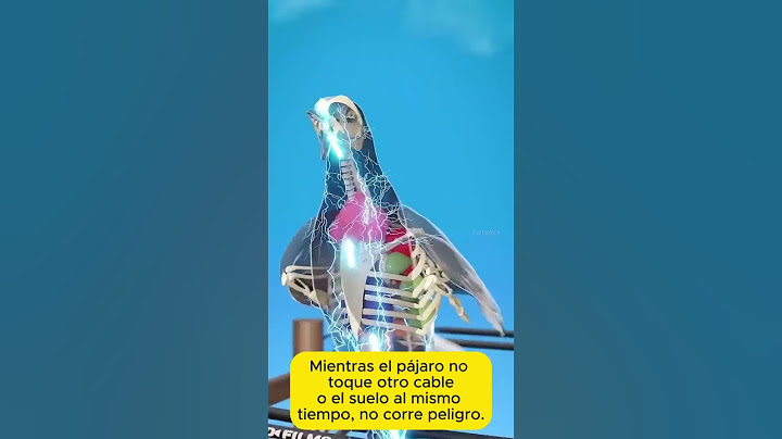 ¿Por qué los pájaros no se electrocutan en cables de alta tensión? #naturaleza #curiosidades