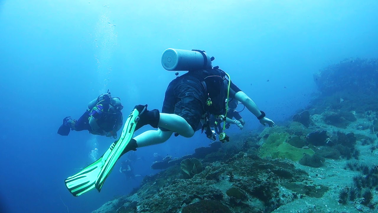 Diving Koh Tao - March 2019 - YouTube