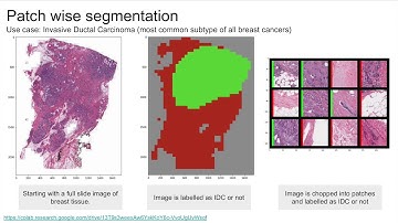 Medical Imaging Tutorial 2020 - Ch2 - Histology and Segmentation