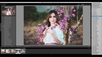 Tips for Using the Lightroom Illuminate Brushes