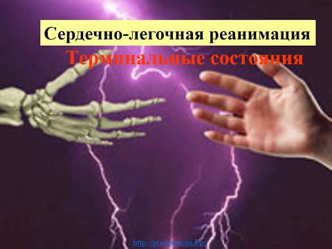 Изучение и освоение основных способов искусственного дыхания и проведения наружного массажа сердца