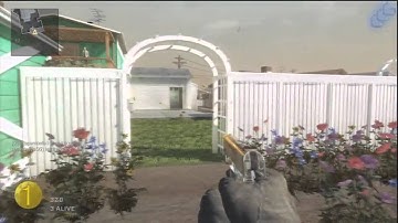 FLAWLESS One In The Chamber by AMP718 on NukeTown