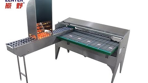 ZENYER 102B egg grader capacity of 5400 eggs/hour