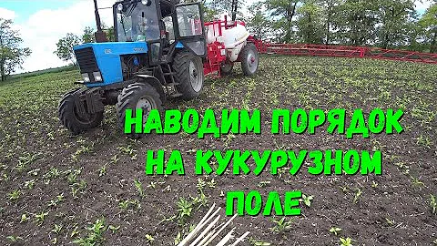 Борьба с СОРНЯКАМИ на Кукурузе / Гербицид на Кукурузу.