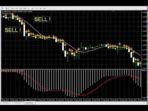 Accurate forex indicator arrows