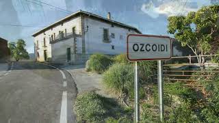 Ozcoidi