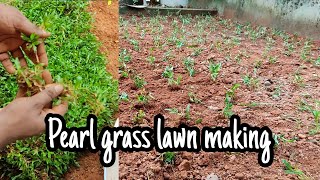 Pearl grass lawn making | landscaping | LEAF garden crafters 7907745540