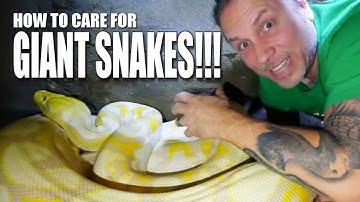 KEEPING GIANT SNAKES!! HOW TO GUIDE!!! | BRIAN BARCZYK