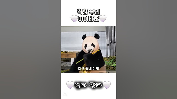 착한 우리 🤍아이바오🤍 #에버랜드 #판다와쏭 #바오가족 #쌍둥바오 #귀여워 #판다 #바오 #러바오 #푸바오 #아이바오 #루이바오 #후이바오 #바오패밀리 #뚠빵걸즈