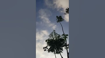 سوره اليل بصوت جميل