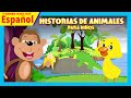 Historias de animales para niños | Los mejores cuentos en español para niños | Cuentos para niños
