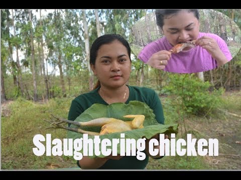Primitive Skill and survival:Girl cook delicious Chicken slaughtering recipe