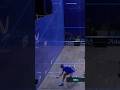 This finish from Elshorbagy 🤩Squash in fast forward ⚡️ #squash