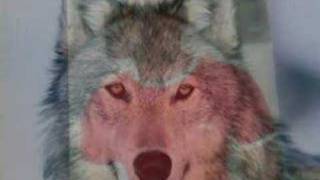 Ülkücü Genlik Karakurlu Emrah