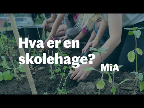 Video: Hagevitenskap for barn – Vitenskapsaktiviteter med hagetema