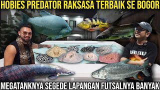 THE BEST GIANT PREDATOR HOBIES IN BOGOR. THE MEGATANK IS AS BIG AS A FUTSAL FIELD, THERE ARE MANY...