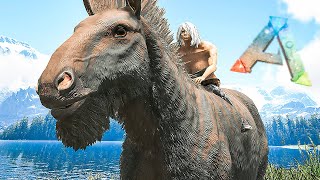 :    ARK