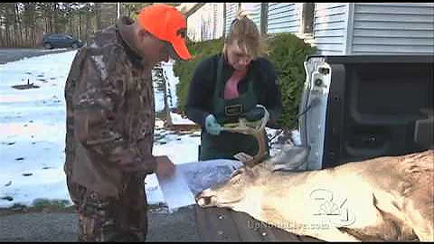 Michigan DNR considers cancelling deer hunting season in U.P.