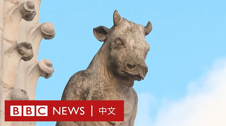 巴黎圣母院的滴水嘴兽回来了－ BBC News 中文 - 天天要闻